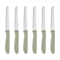 Ensemble de 6 couteaux à steak dentelés pour le camping et la randonnée, lame en acier inoxydable, manche en PP, boîte de voyage portable