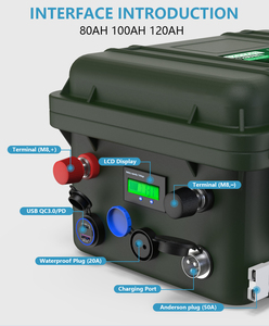 Cerrnss ก้อนแบตเตอรี่แบบพกพาแบตเตอรี่ลิเธียมแบบชาร์จไฟได้200Ah 100AH 12V 24V สำหรับ LFP48100P ทางทะเล - Product Image 1