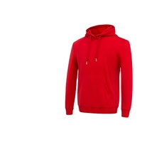 Sweat-shirts à capuche unisexes en coton 100% de haute qualité, 460g, avec cordon, style décontracté ample, plusieurs couleurs, logo personnalisé en gros