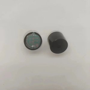 At2319dpacoustic DC <span class=keywords><strong>buzzer</strong></span> báo động hoạt động mini từ điện tử Áp Điện bảng mạch in 12V <span class=keywords><strong>buzzer</strong></span> - Product Image 1