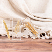 Artisanat en résine, spécimens botaniques en résine, graines de plantes en résine, artisanat en résine, spécimens scientifiques et pédagogiques, ornements en cristal, phytologie, riz séché