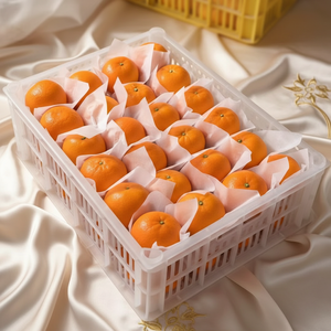 Arance Sanguigne Fresche Premium, Agrumi Dolci Naturali e Sani, Succose, Raccolte in Frutteto, Fornitura all'Ingrosso per l'Esportazione - Product Image 3