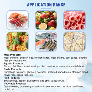 Congelatore per <span class=keywords><strong>Alimenti</strong></span> ad Alta Capacità, Macchina Congelatrice a Doppia Spirale 500kg/h per Pasticceria e <span class=keywords><strong>Alimenti</strong></span> Condizionati - Product Image 4