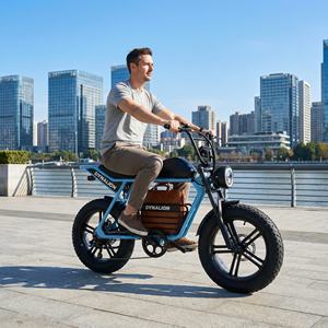 Vélo électrique rétro 48V avec écran LCD et éclairage LED, vélo électrique élégant à pneus larges pour un style de vie urbain - Product Image 4