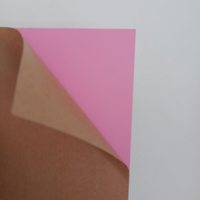 Feuille acrylique de couleur pastel vente directe d'usine de chine