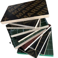 Oferta Especial: Contrachapado Fenólico de Álamo E1 de 4x8 pies con Película Negra para Construcción de Hoteles, Encofrados de 12mm y 18mm