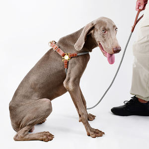 Kunden spezifisches eigenes Logo Personal isiertes Design Nylons eil Haustier halsband Verstellbares Luxus leder Xxl Hunde geschirr und Leinen-Set - Product Image 2