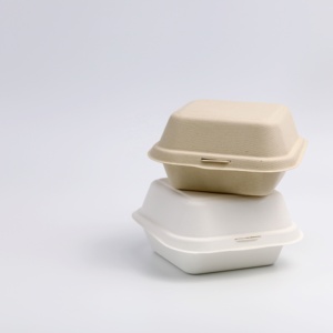 Microondas compostable desechable, bagazo de caña de azúcar biodegradable, contenedor de comida para llevar - Product Image 5