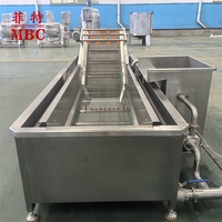 Volautomatische Bubble Fruit Groente Avocado Mango Aardappel Reinigingsmachine