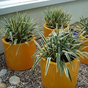 Sedia Panchina Fioriera <span class=keywords><strong>in</strong></span> Fibra di Vetro per Esterni, Design Speciale per Centri Commerciali, Arredo Creativo per il Tempo Libero - Product Image 3