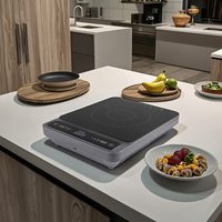 Cuisinière à induction intelligente 3500W, réchaud portable à induction solaire pour cuisine, cuisinière électrique