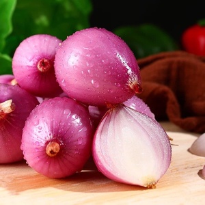 Trung Quốc tươi bóc vỏ hành tây hữu cơ hành tây trắng tỏi tươi hành tây đỏ vàng với số lượng lớn với túi lưới Xuất xứ giá tốt nhất - Product Image 2