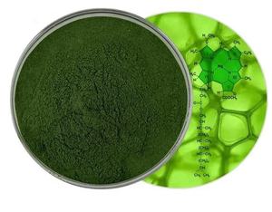 Pigmento alimenticio natural Clorofilina Sodio Cobre Clorofila E141 - Product Image 1