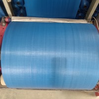 Rouleau de tissu tissé en polypropylène pour sacs d'emballage