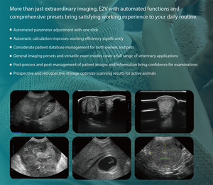 เครื่องสแกนอัลตร้าซาวด์ sonoscape E2V สีพกพาสำหรับสัตวแพทย์ใช้ในโรงพยาบาลคลินิกสัตว์ - Product Image 6
