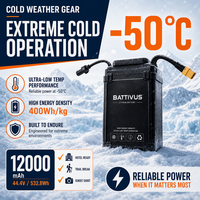 Аккумулятор Battivus 48В 400Втч, полутвердотельный, 3000 циклов, высокая энергетическая плотность, LiPo, -50°C - 60°C, длительное время работы, для БПЛА VTOL