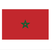 Drapeaux marocains de football à tenir à la main, avec bâtons en bois/plastique, en polyester, tailles personnalisées pour les supporters de football
