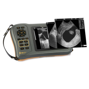BMV Veterinária Portátil Ultrasonido Ecografo Animal Ovejas e Cerdos Instrumento - Product Image 3
