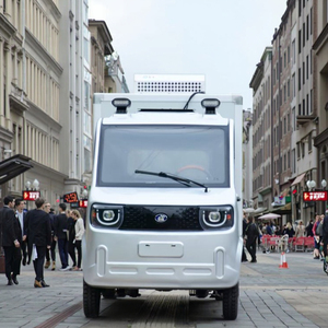 Nuevo Vehículo Eléctrico de Energía Renovable, Mini Camioneta Refrigeradora Eléctrica + Vehículo Eléctrico de 2 Plazas y 4 Ruedas - Product Image 3