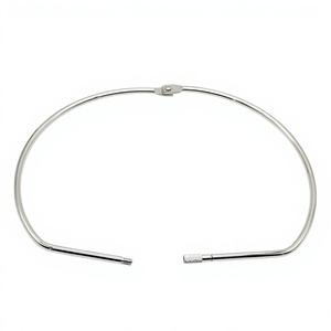 YIWANG Metal Hierro Plata 7 pulgadas Llavero Titular Niquelado Tornillo Cerradura Anillos en forma de D - Product Image 2