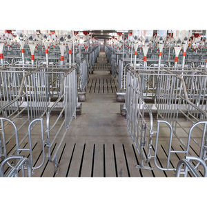 Fournitures les plus vendues pour cage de gestation pour porcs Cages de gestation pour stylo de grossesse Farmspig Caisse de gestation pour porcs - Product Image 3