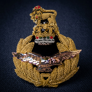 RAF CAP BADGE High Quality Lace Embroidered Patch <b>Sew</b>-On Fabric Badge Circular Luxury Design for Garment - Product Image 2