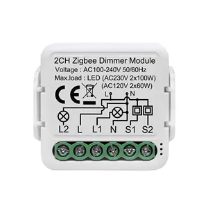 Interrupteur de lumière intelligent Tuya ZigBee 3.0, disjoncteur de module de bricolage domotique intelligent prise en charge du contrôle à 2 voies, fonctionne avec Alexa Google Home