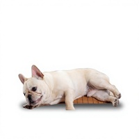Tapis rafraîchissant pour animaux de compagnie, respirant, en polyester, pour l'été, lit pour chat et chien, utilisation en intérieur