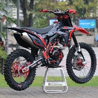 Nouvelle moto tout-terrain à essence 300cc 4 temps BSE WaveSpeeder M8 32kW avec moteur à cylindre incliné, 120 km/h, pour la course sur route désertique
