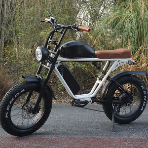 จักรยานไฮบริดไฟฟ้าซุปเปอร์วินเทจ,ใหม่ปี2023ยางล้อรถ20นิ้ว<span class=keywords><strong>1000W</strong></span> Ebike 48V 30AH - Product Image 1