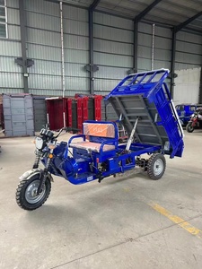Triciclo Motorizado de Carga de Alta Calidad con Plataforma Abierta, Harmony 200-250W 36V, Alta Velocidad, Máxima Capacidad de Carga - Product Image 6