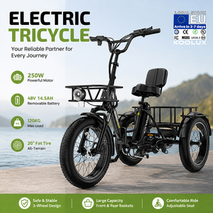 Bicicleta Eléctrica con Batería de Litio de 48V 15Ah, 250W, Neumáticos Gruesos de 20*4.0'', Cuadro de Aluminio, Frenos de Disco Hidráulicos para Courier X13 KOOLUX X13-Yo (Stock en la UE) - Product Image 2