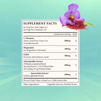 Gouttes liquides en gros sous marque privée à base de L-Théanine, Magnésium, GABA, Ashwagandha et Mélisse pour le sommeil et la concentration