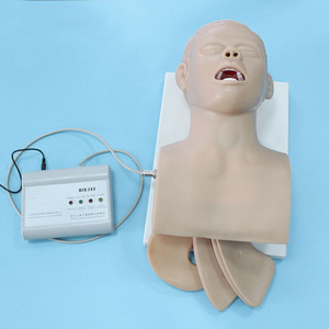 Người Lớn Khí Quản Nội Khí Quản Huấn Luyện Viên Với Inflatable Phổi Và Dạ Dày - Product Image 4