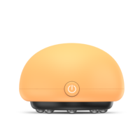 Mini dispositif de Massage par thérapie électronique, Acupuncture magnétique, Anti-Cellulite