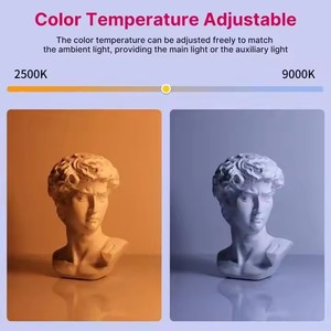 Luce a stick RGB portatile da 19,68 <span class=keywords><strong>pollici</strong></span> (<span class=keywords><strong>50</strong></span> cm) con LED, CRI 95+, 2500k-9000k, per studio fotografico - Product Image 4
