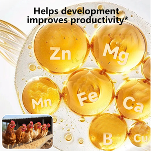 Propionato de calcio de alta biodegradabilidad Mejora la calidad de la cáscara de huevo Prevenir el raquitismo Pollitos Grado alimenticio Vitaminas Minerales Lugar - Product Image 3