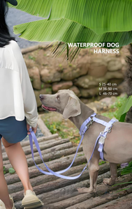 Arnés de perro impermeable recubierto de PLC duradero de lujo Simple diseño en forma de Y accesorio de perro personalizado de moda al por mayor OEM ODM - Product Image 6