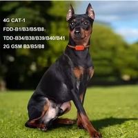 Traceur GPS pour animaux de compagnie en temps réel G51 compatible iOS/Android, collier en plastique étanche, localisateur Bluetooth GSM/Beidou/AGPS avec visualisation à distance