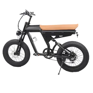 China Factory direct dutch bike chopper bicycles 48V 15Ah Lithium Battery 750w 1000w 20 inch electric fat tire bike