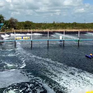 <span class=keywords><strong>บ่อ</strong></span><span class=keywords><strong>ปลา</strong></span>โครงเหล็กชุบสังกะสีคุณภาพเยี่ยม พร้อมแผ่นรอง HDPE LLDPE - Product Image 3