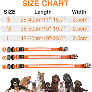 Collar de Perro LED Personalizado, Recargable por USB, de Nailon, Impermeable, con Correa Ajustable, Talla Única - Product Image 5