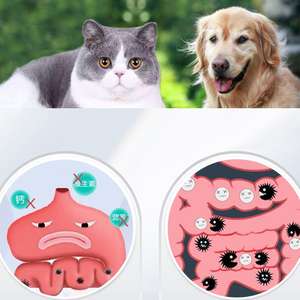 Réguler l'estomac améliorer l'appétit marque privée chien chat probiotiques suppléments nutritionnels - Product Image 3