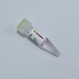 Super KASP PCR MixPlus (Low ROX+) - 2X per Genotipizzazione SNP |   GDSBio - Product Image 3