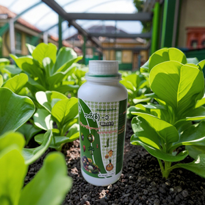 Fertilizante líquido de maíz a buen precio - Product Image 1