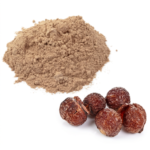 Fabricante de Reetha en polvo de fruta en polvo de la India - Product Image 1