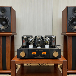Amplificateur à tubes EL34 en bois classique, technologie monophonique éprouvée par le temps |   Prix de réduction d'usine - Product Image 1