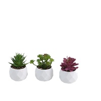 Luxke Ensemble de plantes succulentes artificielles en PVC souple, diamant simulé, best-seller transfrontalier, pour mobilier et bureau