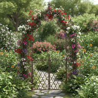Arche de mariage en métal robuste à double barre pour plus de stabilité, arche de jardin décorative rustique en métal pour entrée de patio