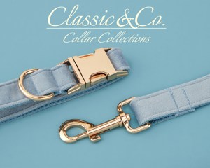 Collier et laisse pour chien personnalisés avec nom gravé, boucle en métal, bleu poussière, avec clochette et nœud, livraison gratuite - Product Image 4